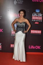 Debina Bonerjee at Life Ok Screen Awards red carpet in Mumbai on 14th Jan 2015